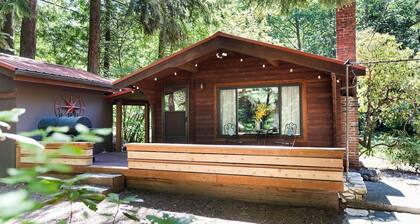 Relax at this Peaceful 1 bedroom cabin on the river
