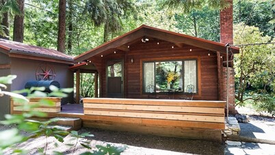 Relax at this Peaceful 1 bedroom cabin on the river