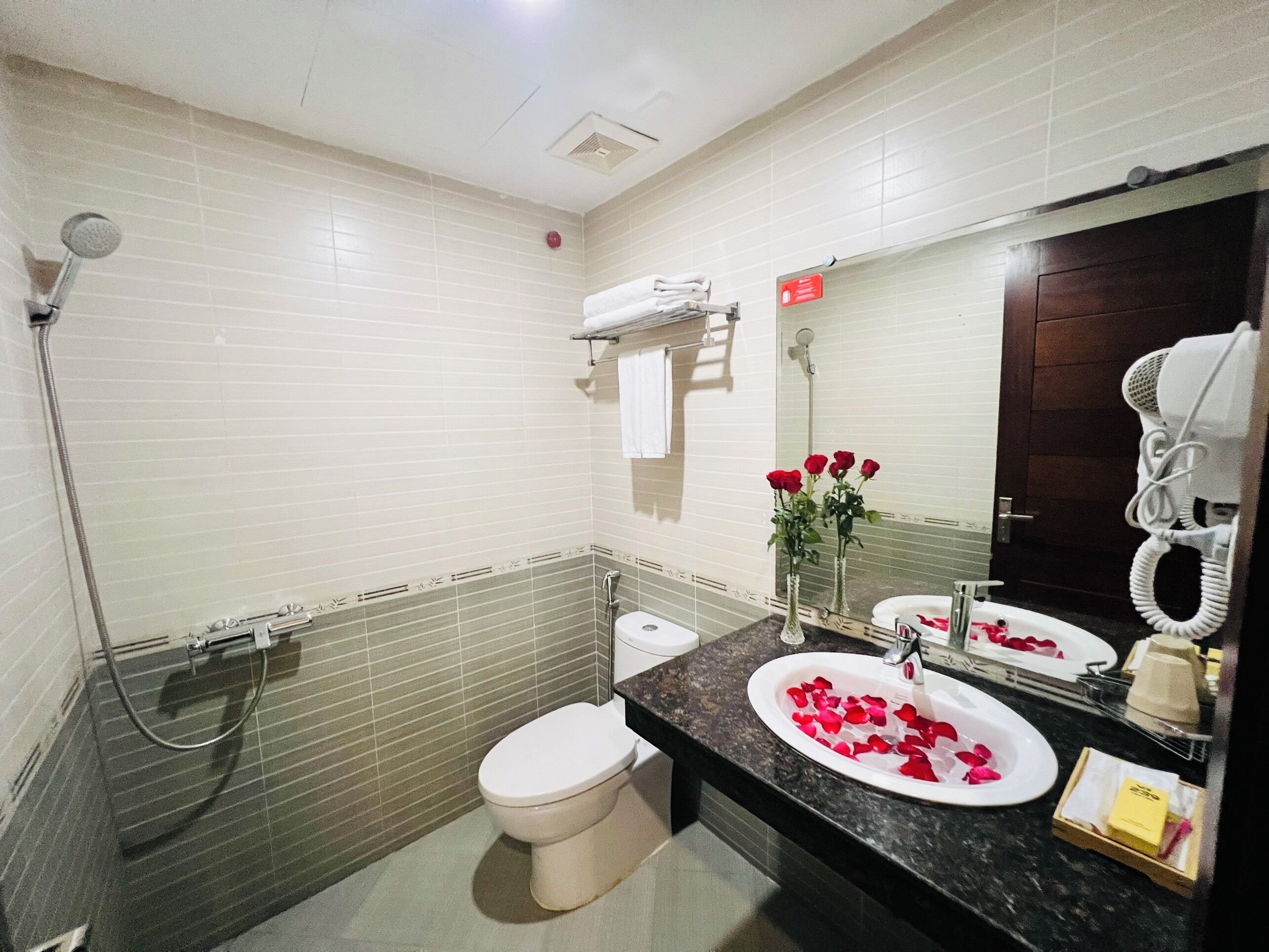 Un baño con ducha, inodoro, lavabo y secador de pelo.