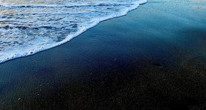 Marine Beach Bliss Ground Floor Studio