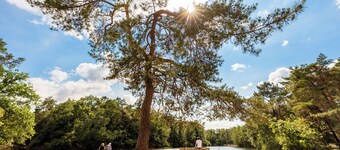 Komfortable, klimatisierte Suite mit Zugang zu einer Gemeinschaftsküche und kostenlosen Parkplätzen in der Nähe. Ideal für Geschäftsreisende oder einen entspannten Kurzaufenthalt in Raamsdonksveer, unweit von Tilburg und den Sehenswürdigkeiten der Re