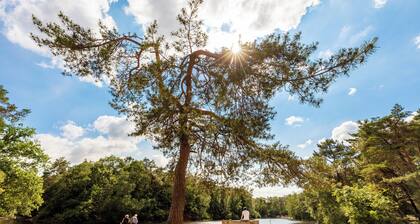 Comfortable air-conditioned suite with access to a shared kitchen and free parking nearby. Ideal for business travelers or a relaxed short stay in Raamsdonksveer, close to Tilburg and local highlights.