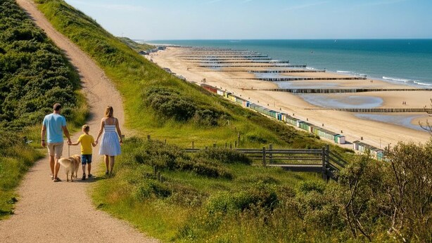 A pathway leading to a beach with a wooden fence and a clear view of the ocean.
