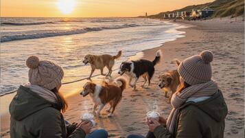 Accommodatie ligt op het strand