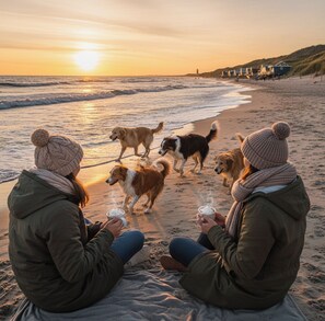Accommodatie ligt op het strand