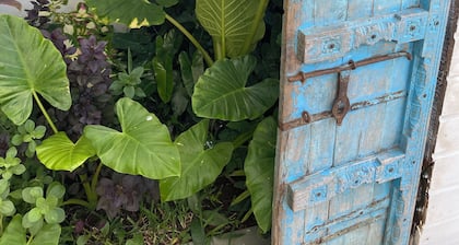 Mzelle Pipine Ă 2 minutes de la plage !