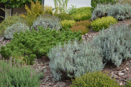 Behagliche Ferienwohnung im Herzen des Dahner Felsenlands
