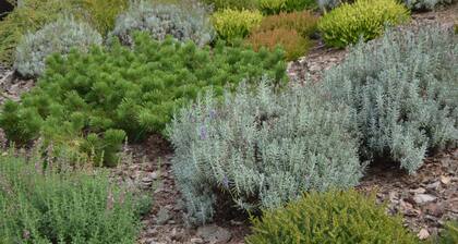 Cozy vacation apartment in the heart of the Dahner Felsenland