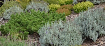 Cozy vacation apartment in the heart of the Dahner Felsenland