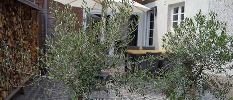An outdoor patio area with olive trees, a stone floor, and a white umbrella.