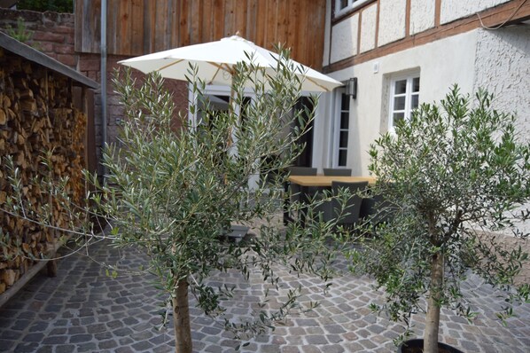 An outdoor patio area with olive trees, a stone floor, and a white umbrella.