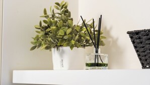 Ein weißes Regal mit einem Blumentopf und einer Glasflasche mit schwarzen Stäbchen.