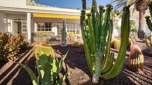 Un edificio con toldo amarillo, rodeado de diversos cactus y plantas del desierto.