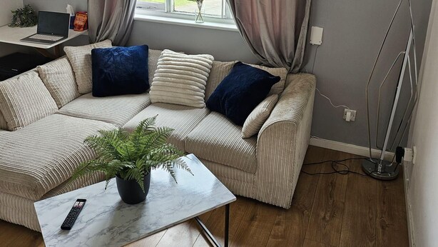 A living room with a sofa, a coffee table with a plant, a radiator, and a window with curtains.