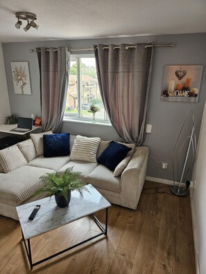 Una sala de estar con un sofá, una mesa baja con una planta, un radiador y una ventana con cortinas.