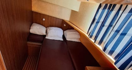 Vintage stay on a barge in Chenillé-Champteussé, 8-10 people, large outdoor space
