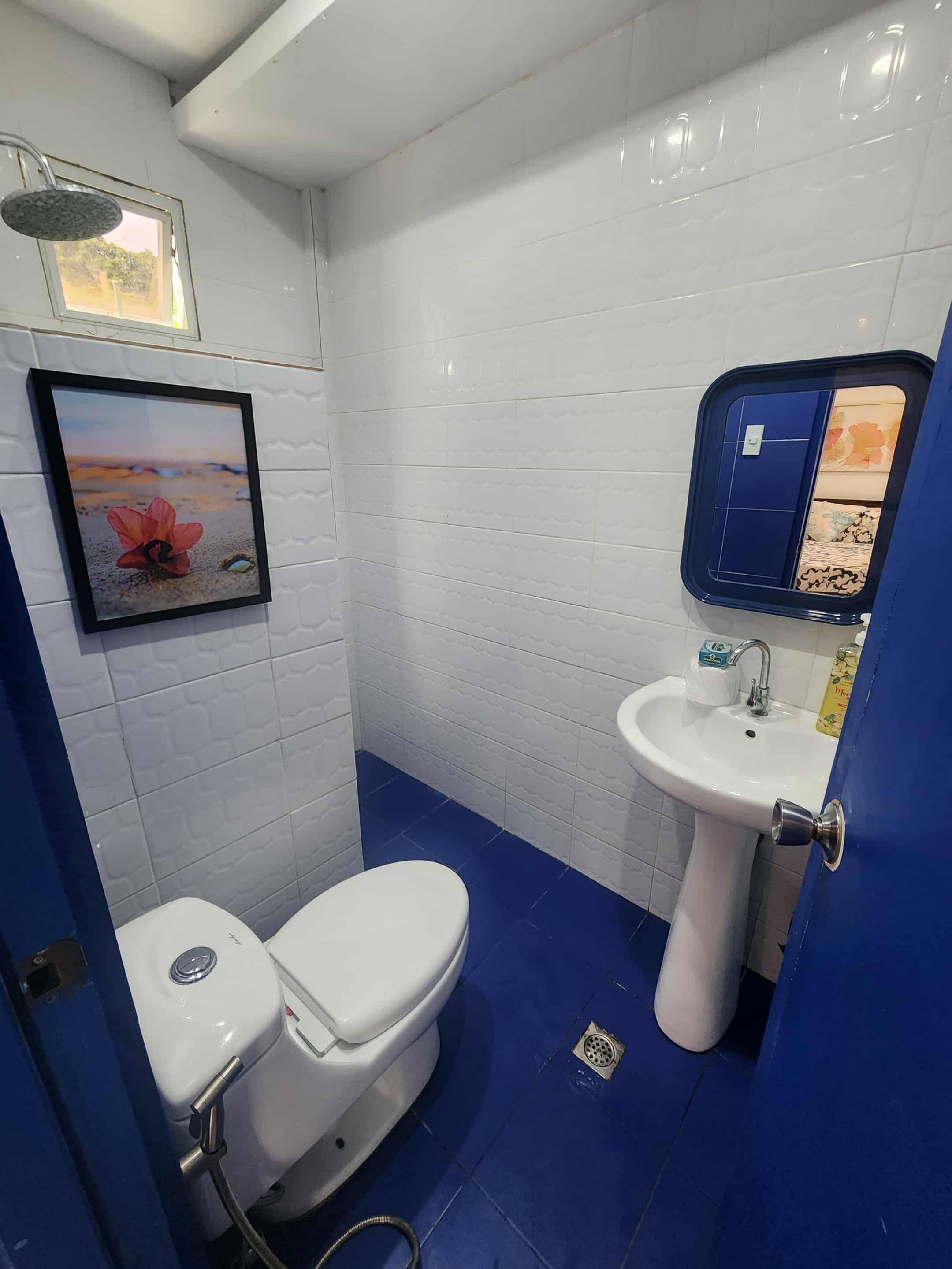 A bathroom with a white toilet, a sink, and a shower. There is a framed picture on the wall and a mirror above the sink.