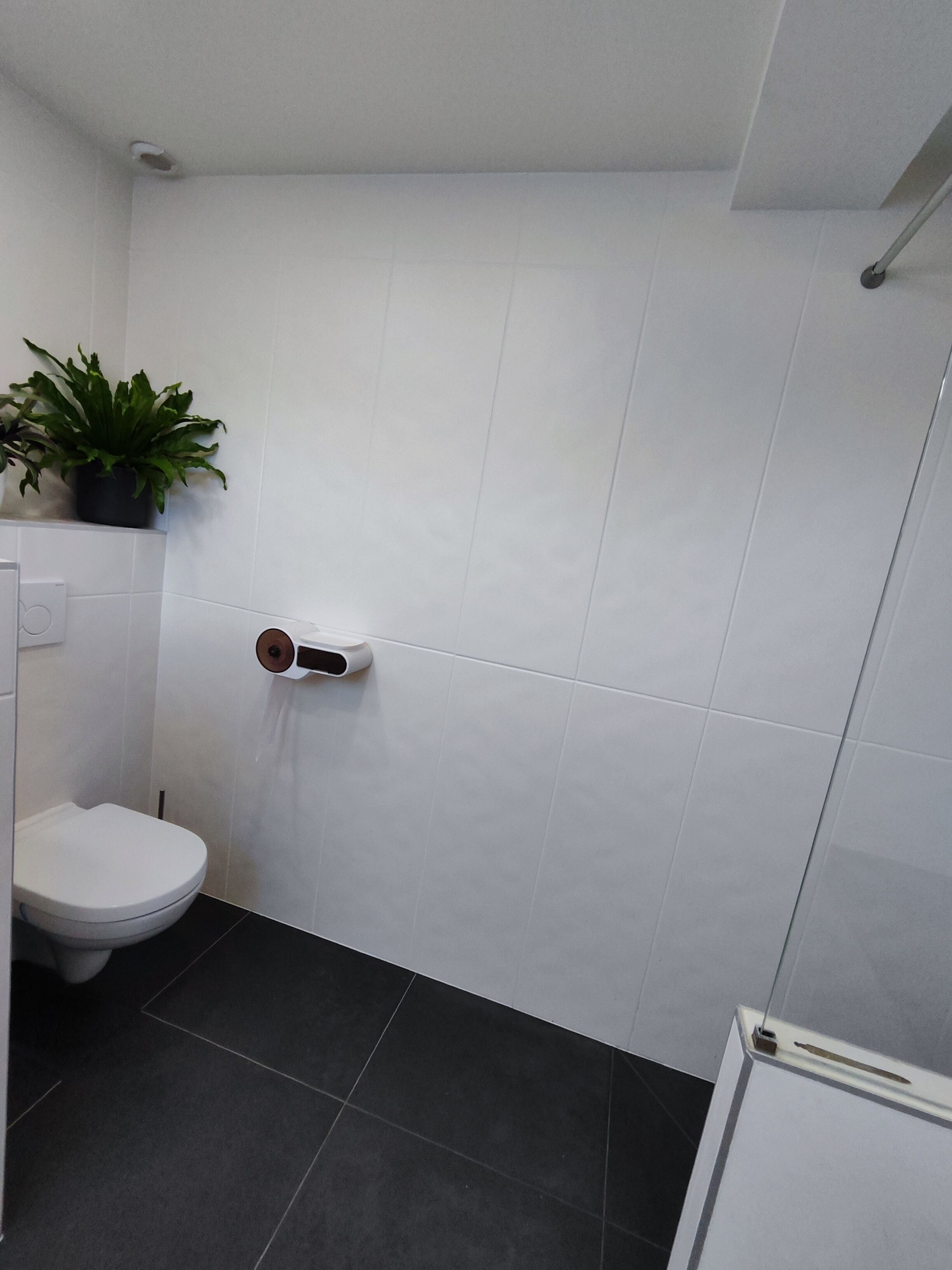 A bathroom with white tiles, a toilet, a black tiled floor, and a plant on the wall.