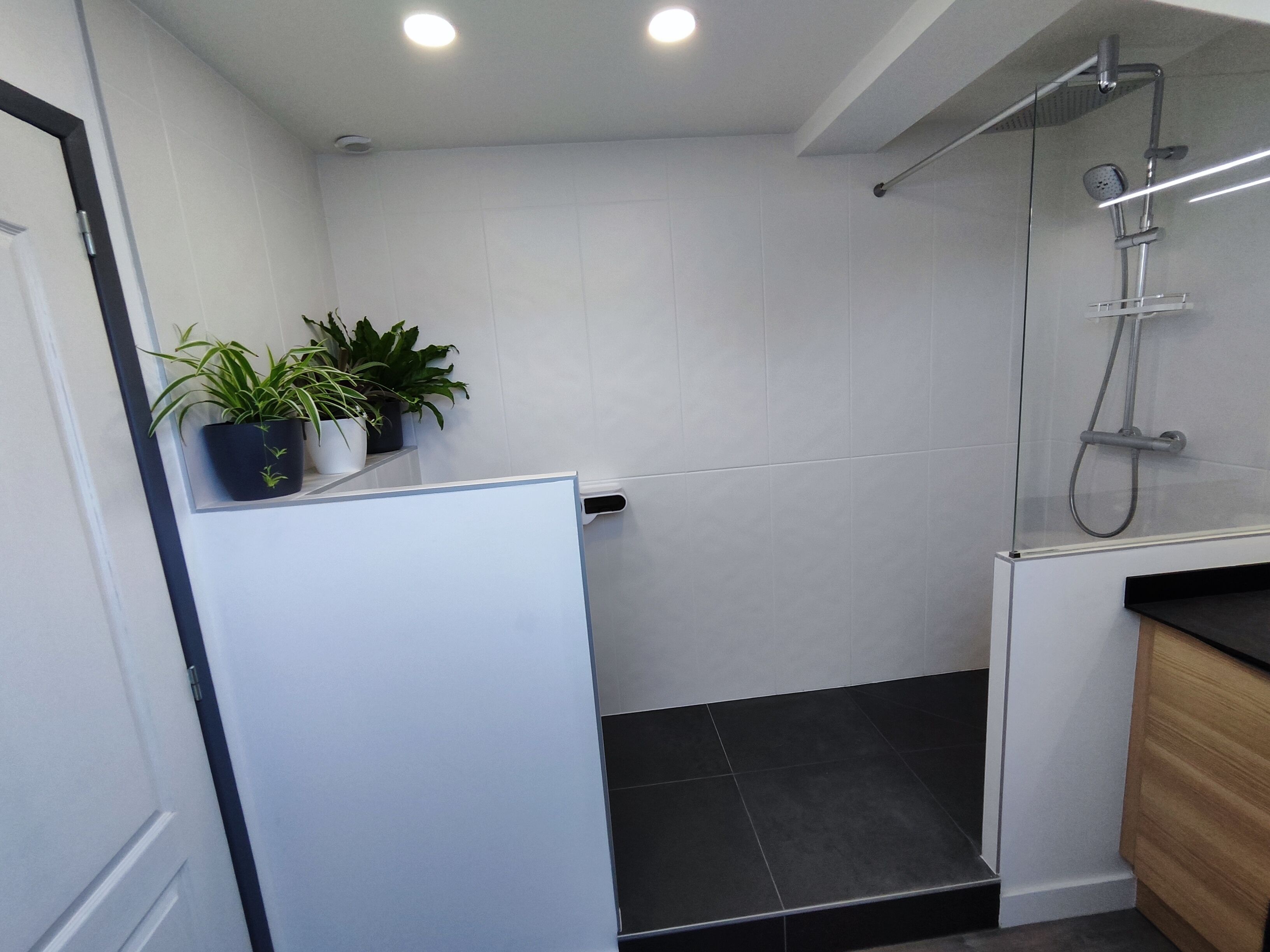 A modern bathroom with a shower, white tiled walls, a black tiled floor, and a white door. There are two potted plants on a shelf.