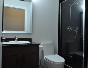 Séchoir à cheveux, serviettes fournies, savon, papier de toilette