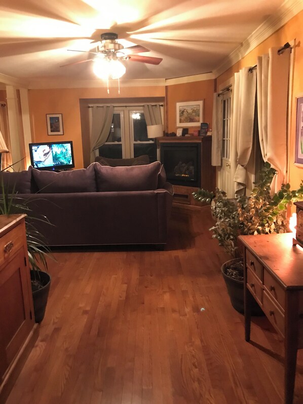Fireplace, books, music library