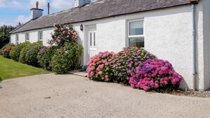 Une maison blanche avec un toit gris, une cheminée et une fenêtre. Devant la maison, on peut voir des buissons ornés de fleurs roses et violettes.