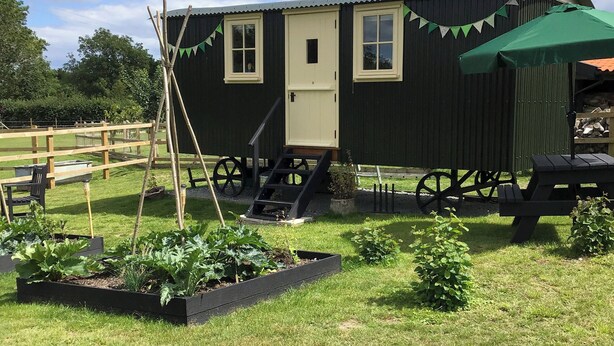 A small, dark-colored cabin with a door, windows, and a ramp leading to the entrance. - Beeches Shepherd Hut (Harleston)