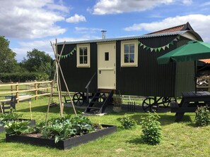 Exterior - Beeches Shepherd Hut (Harleston)