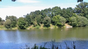 A calm lake with a dock, surrounded by dense trees and greenery. - Beeches Shepherd Hut (Harleston)