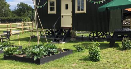 Beeches Shepherd Hut