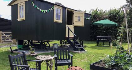 Beeches Shepherd Hut