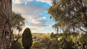 A rural landscape with a stone wall, a gravel path, and a variety of trees. - 1 Swallowholm Cottages (Arkengarthdale)