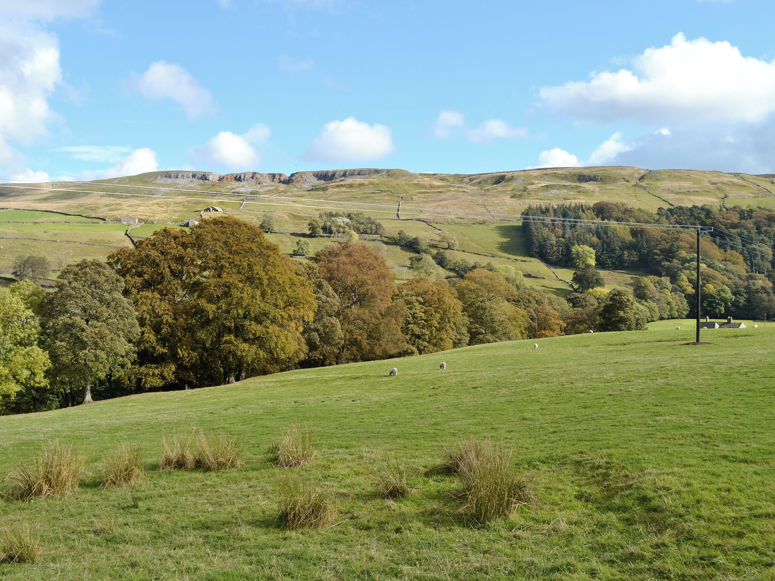 A rural landscape with rolling hills, a clear sky, and a few scattered trees.