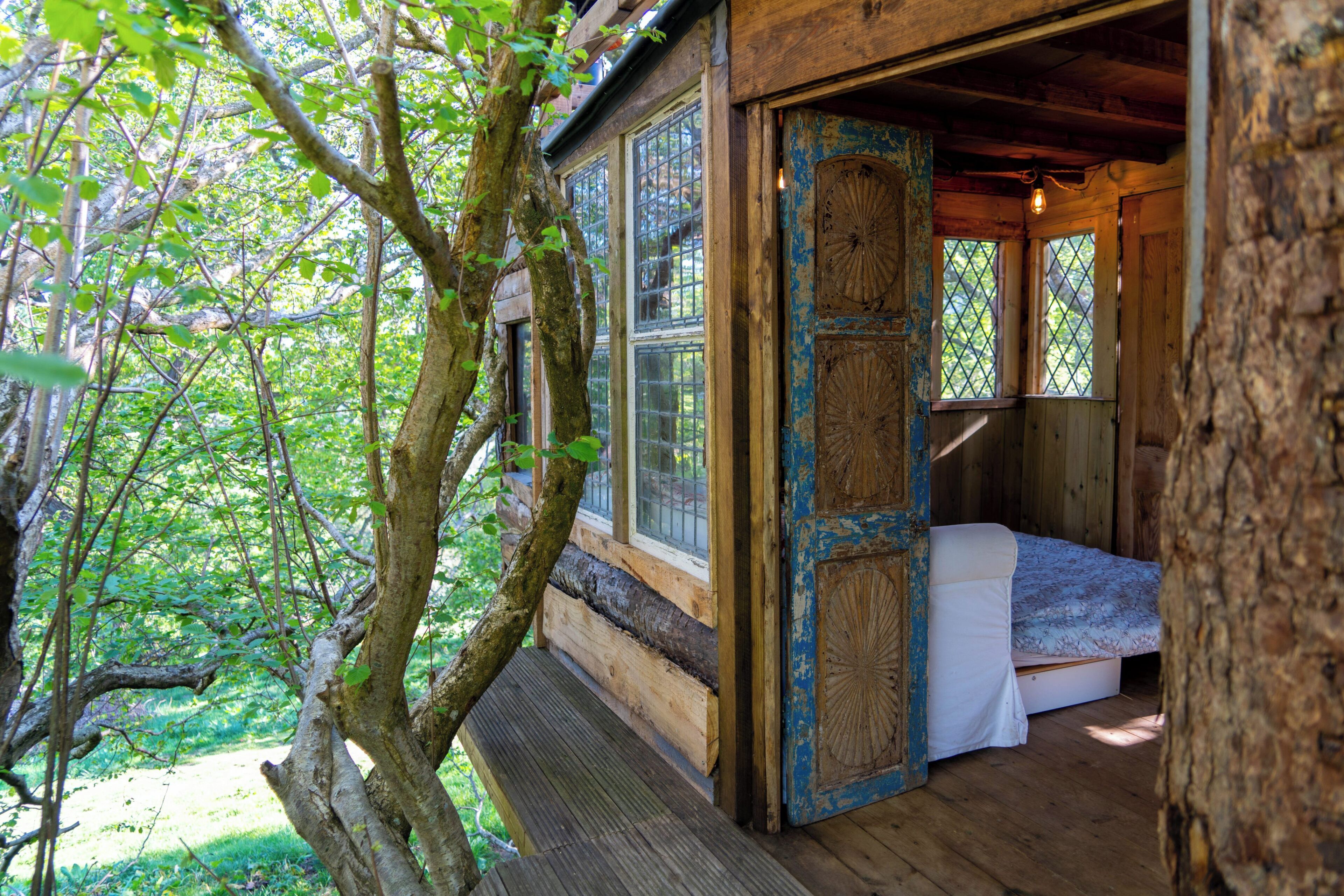 Cabin | Property grounds