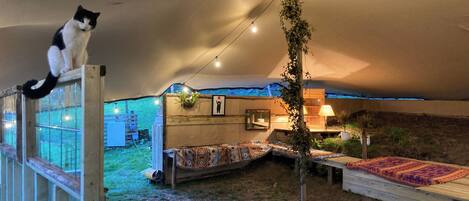 Cabin | Property grounds