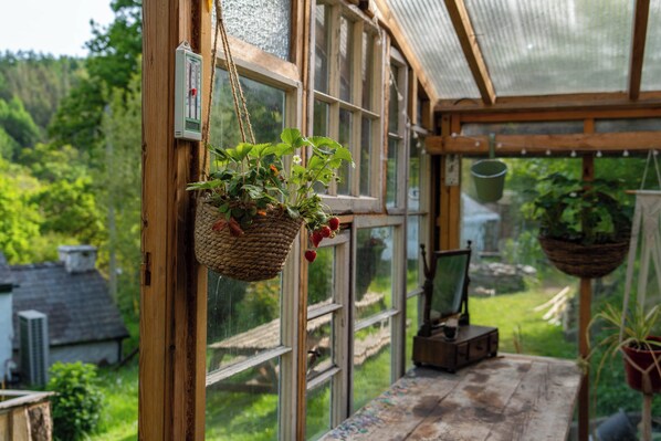 Cabin | Interior - Hapus Hideaway Retreat Site, Sleeps 29 (Abergele)