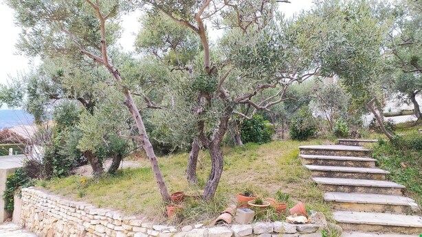 Un muro de piedra con escalones que conducen a un jardín con olivos y plantas en macetas.