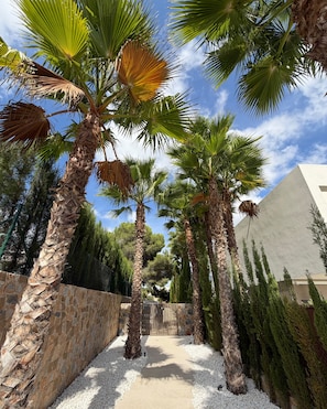A pathway lined with palm trees leading to a gated entrance.