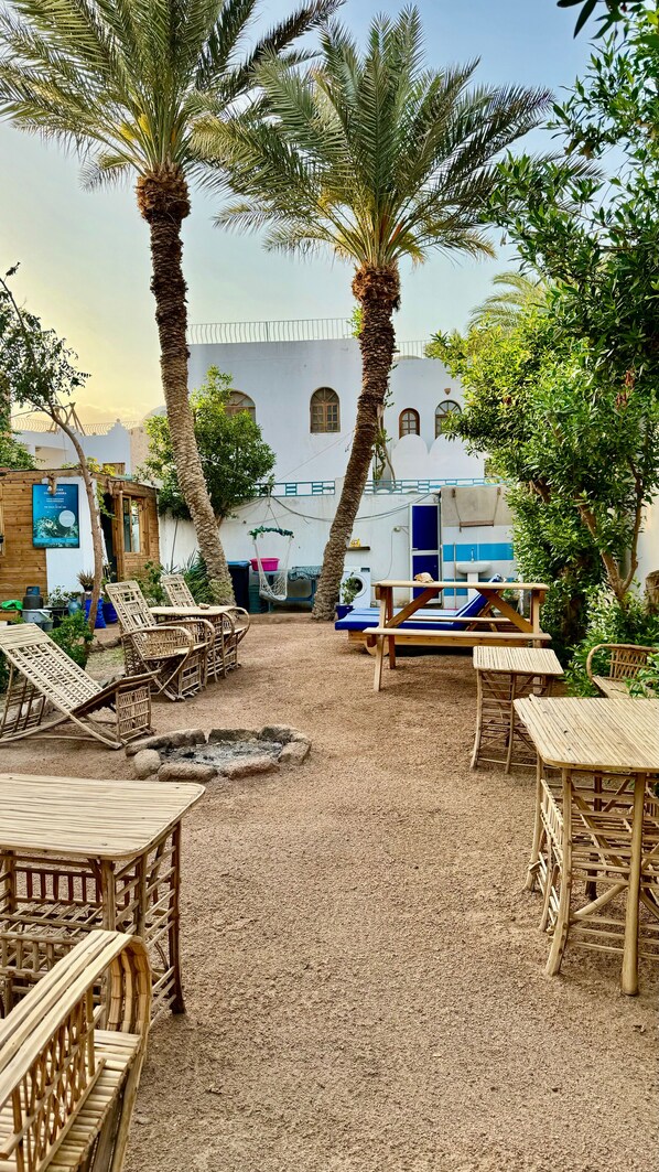 Exterior - Palma Oasis Hostel (Dahab)