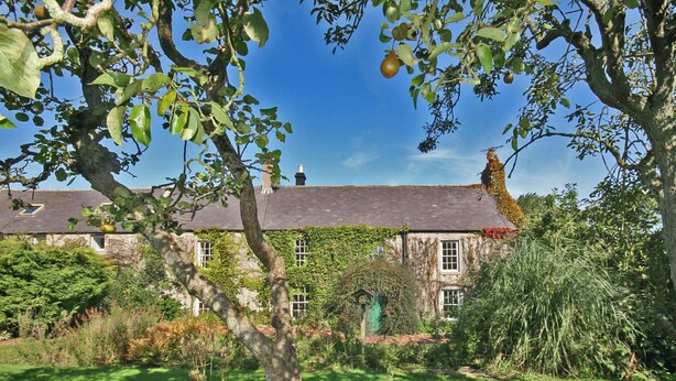 A stone house with ivy-covered walls, a well-maintained lawn, and a clear blue sky.