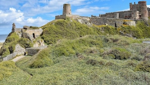 A historic stone castle with a prominent tower and fortified walls, surrounded by lush greenery and overlooking the sea.