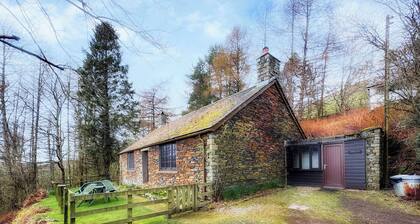 Latrigg View - UK45177