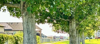 KING bed, 2-bedroom, full kitchen, pickleball, park. Private, spacious basement.