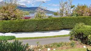 A landscaped area with a hedge, a white wall, and a road.