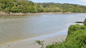 Un río con una playa arenosa y abundante vegetación en sus orillas.