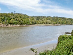 A river with a sandy beach and dense greenery on the banks. - 2 bedroom accommodation in Dunterton, near Tavistock (Dunterton, near Tavistock)