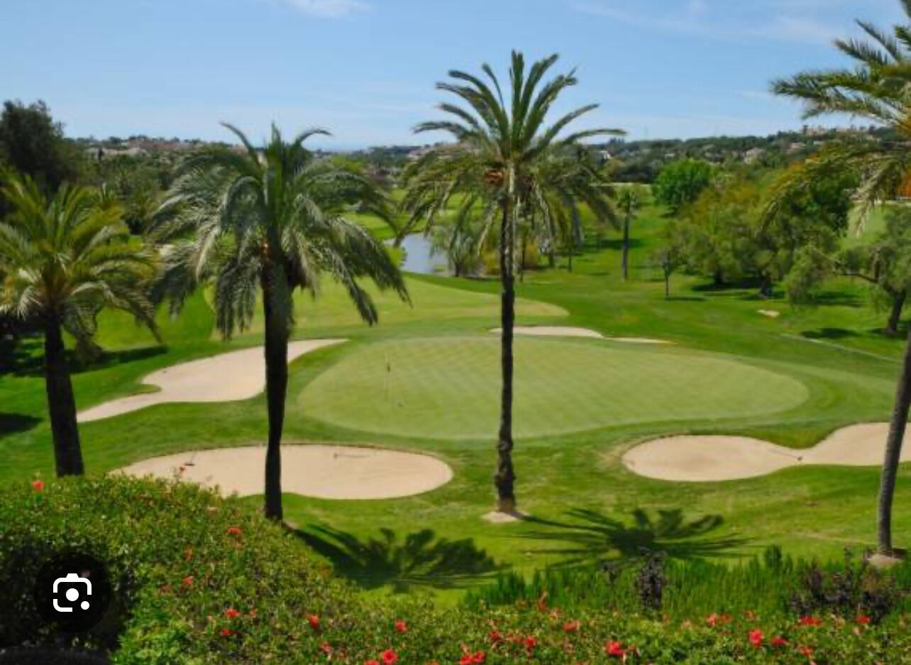 A golf course with sand bunkers, palm trees, and a clear sky.