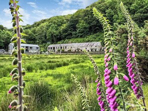 Property grounds - A modern cottage, set in a stone barn not far from Dolgellau and Llwyngwril. (Arthog)