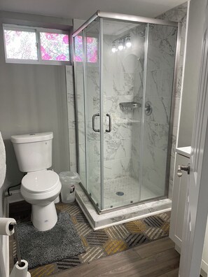 Towels, soap, shampoo, toilet paper - Spacious 4-bedroom house with AC and WiFi in fabulous Silver Spring (Silver Spring)