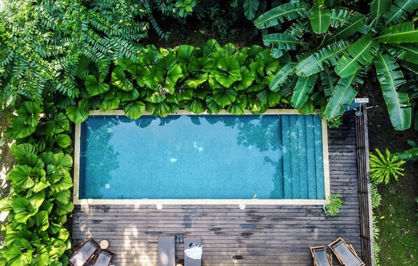 A rectangular swimming pool surrounded by lush greenery, with a wooden deck and lounge chairs.